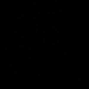 Meet your Posher, Genevieve